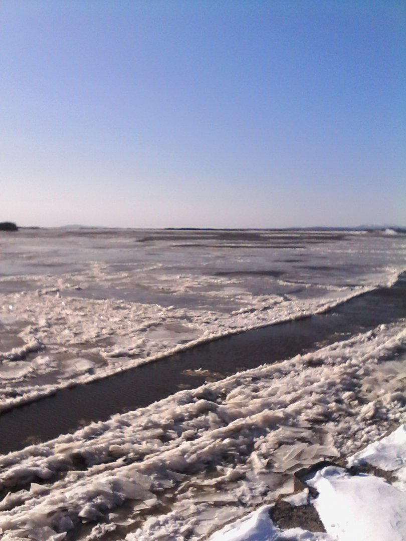 IMG00008.jpg
