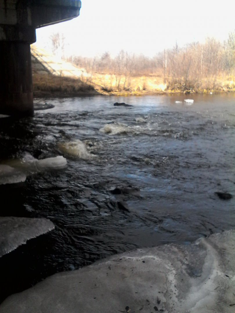 IMG00043.jpg