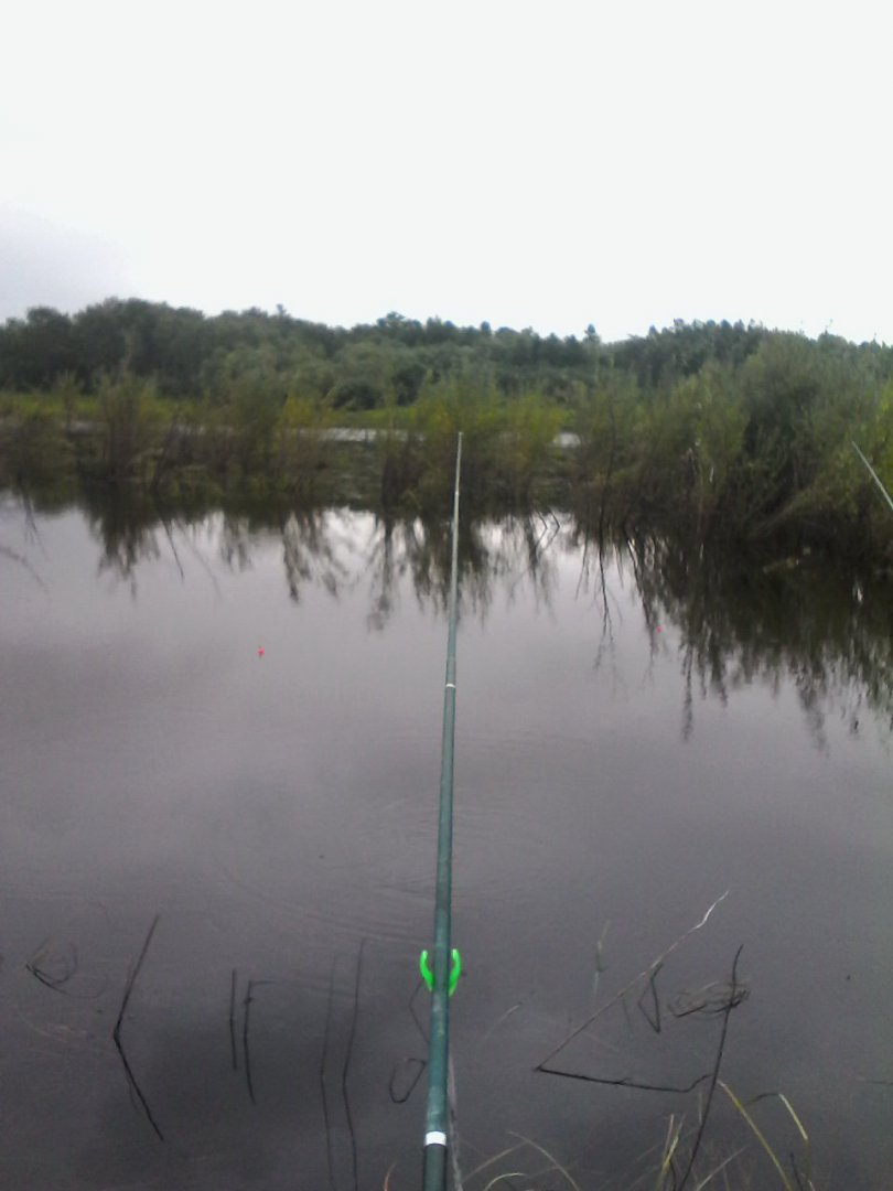 IMG00079.jpg