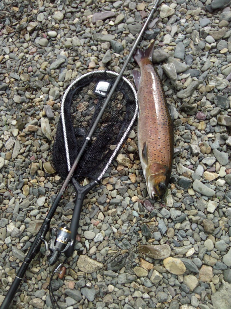 IMG00088.jpg