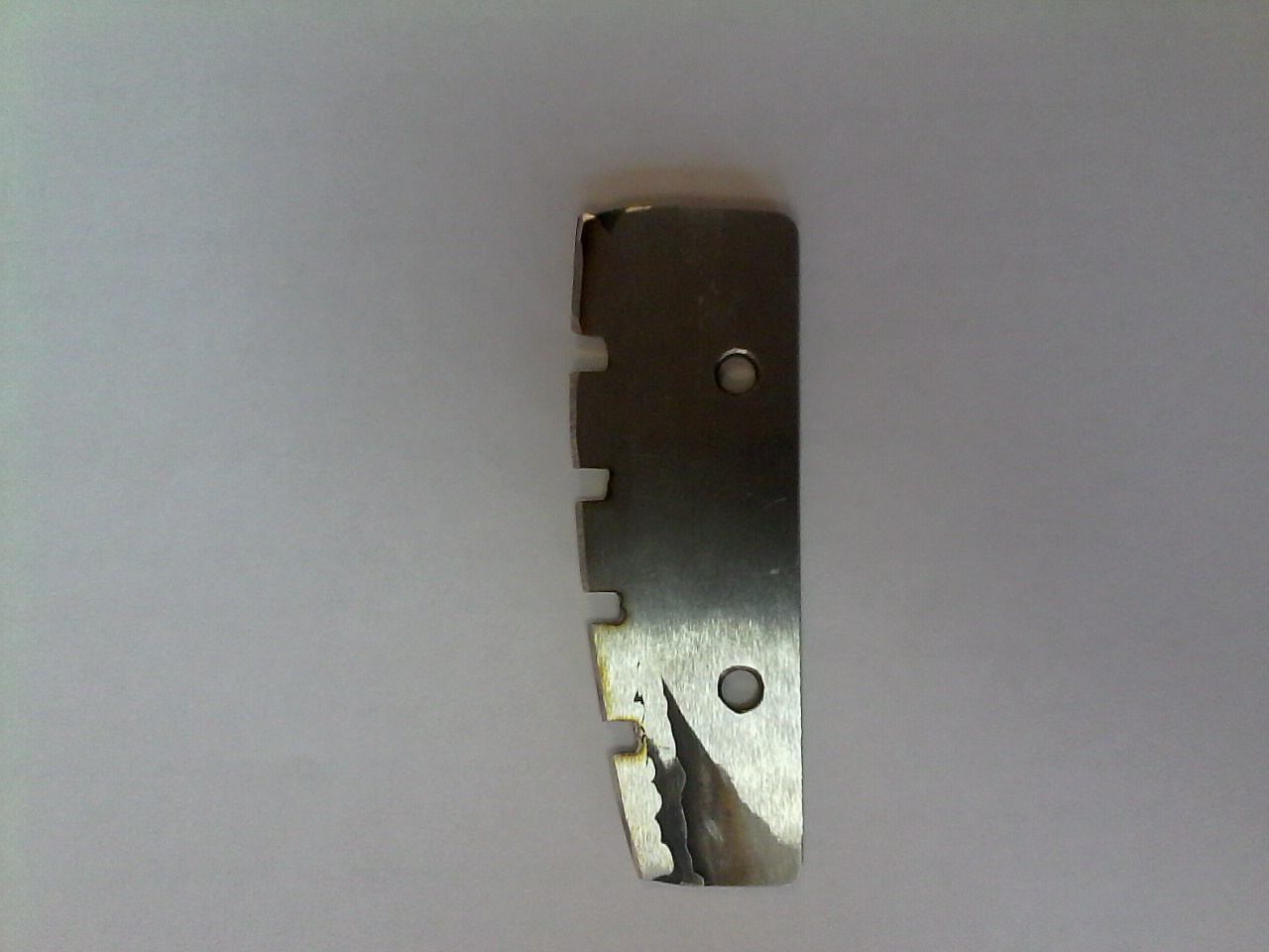 IMG00098.jpg