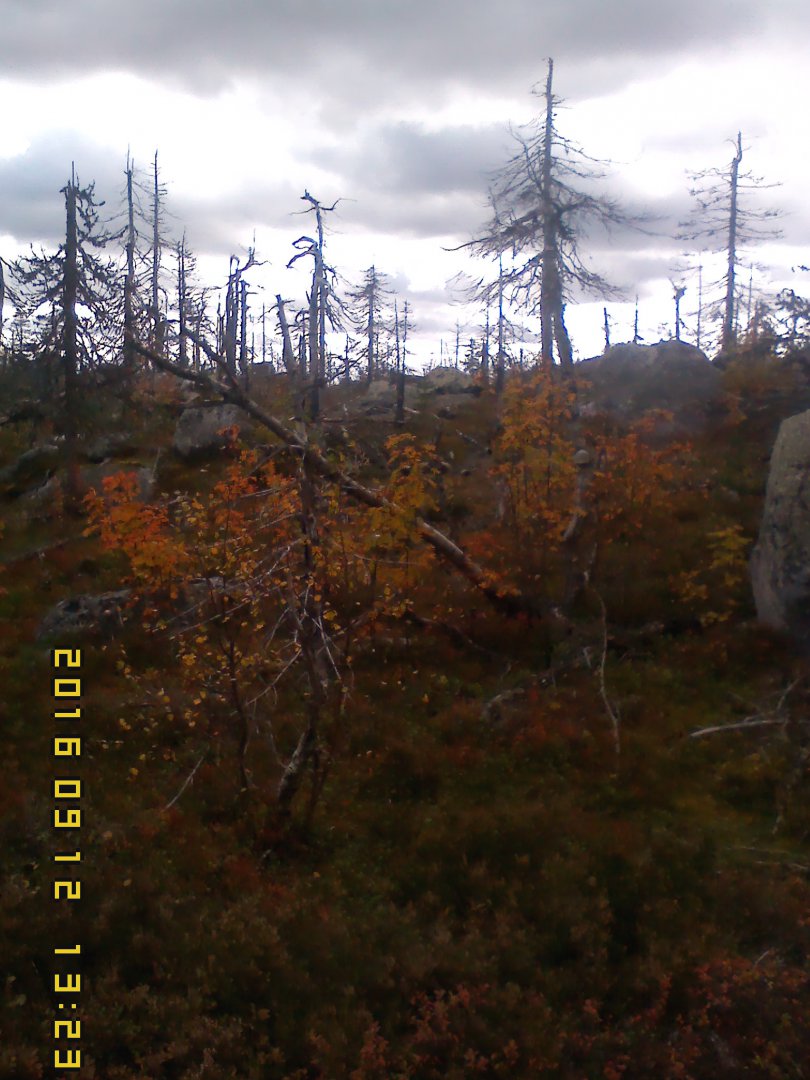IMG00136.jpg