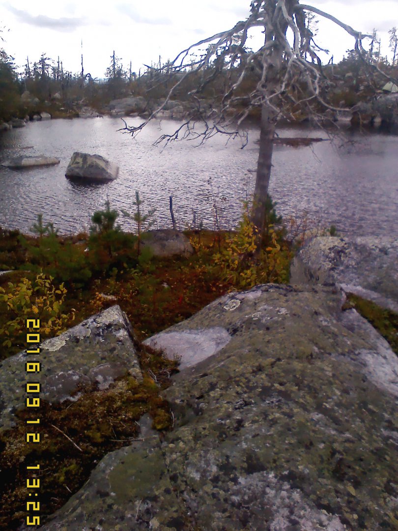 IMG00137.jpg