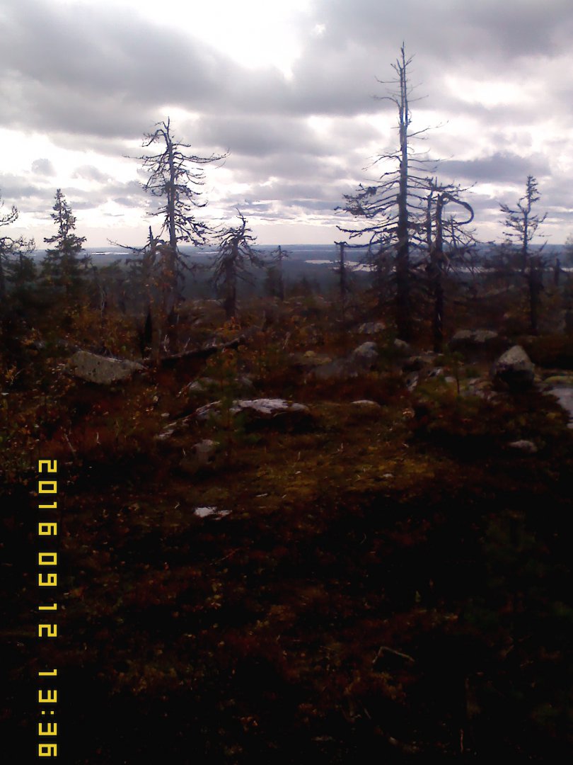 IMG00139.jpg