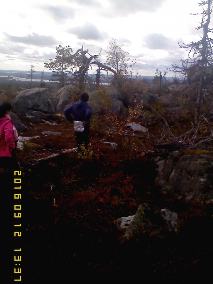 IMG00140.jpg