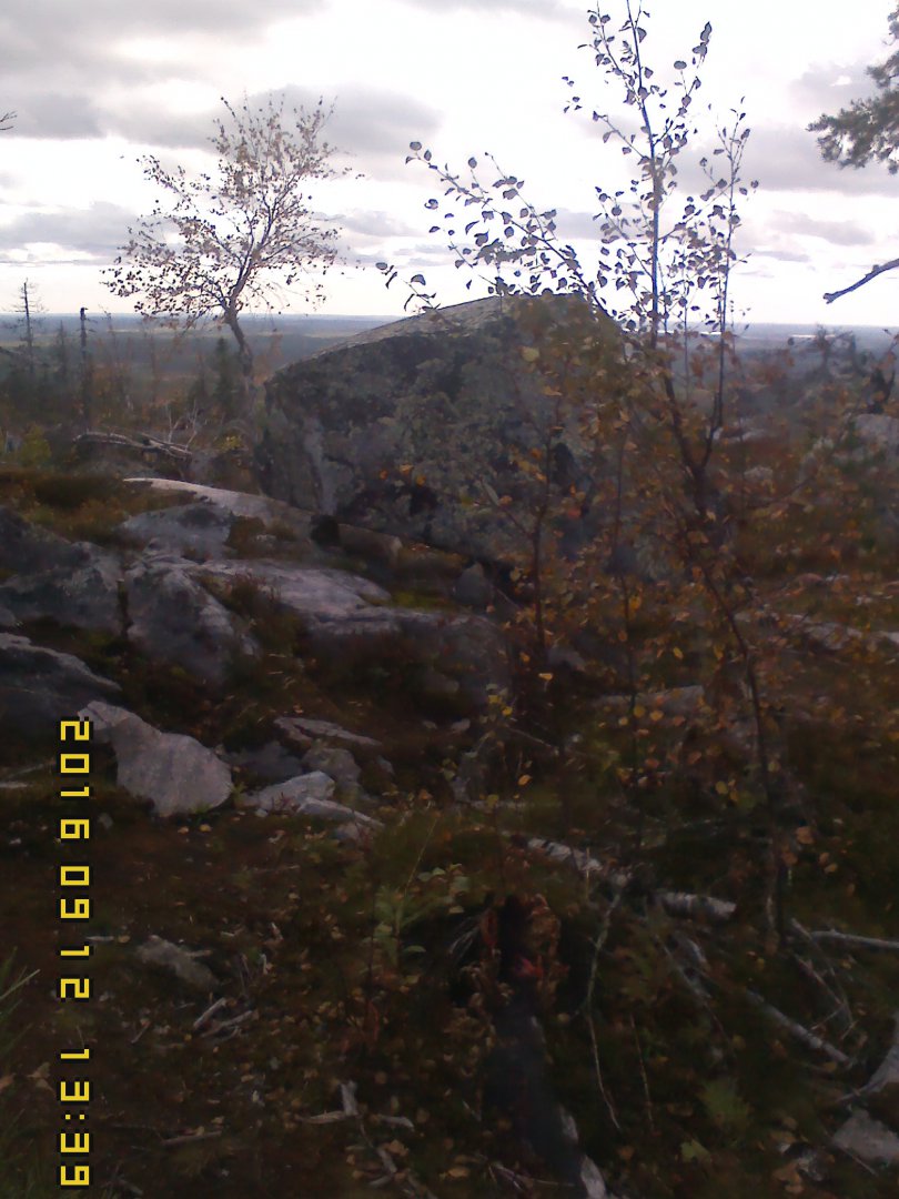 IMG00141.jpg