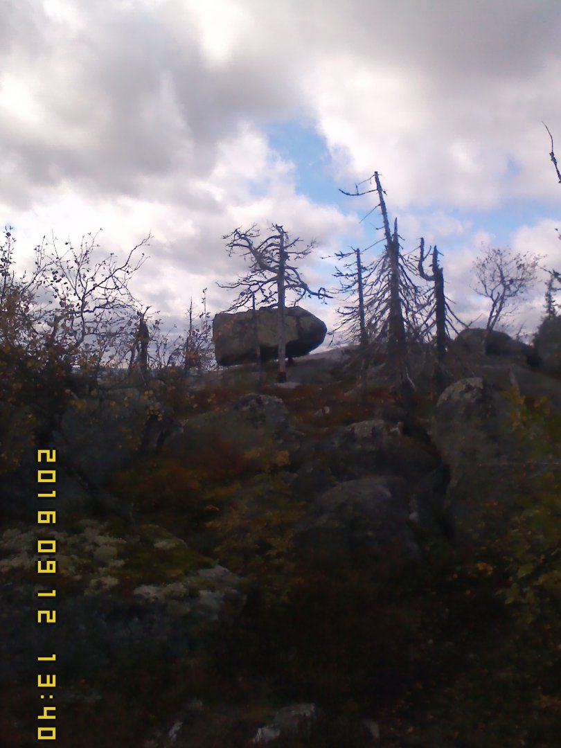 IMG00142.jpg