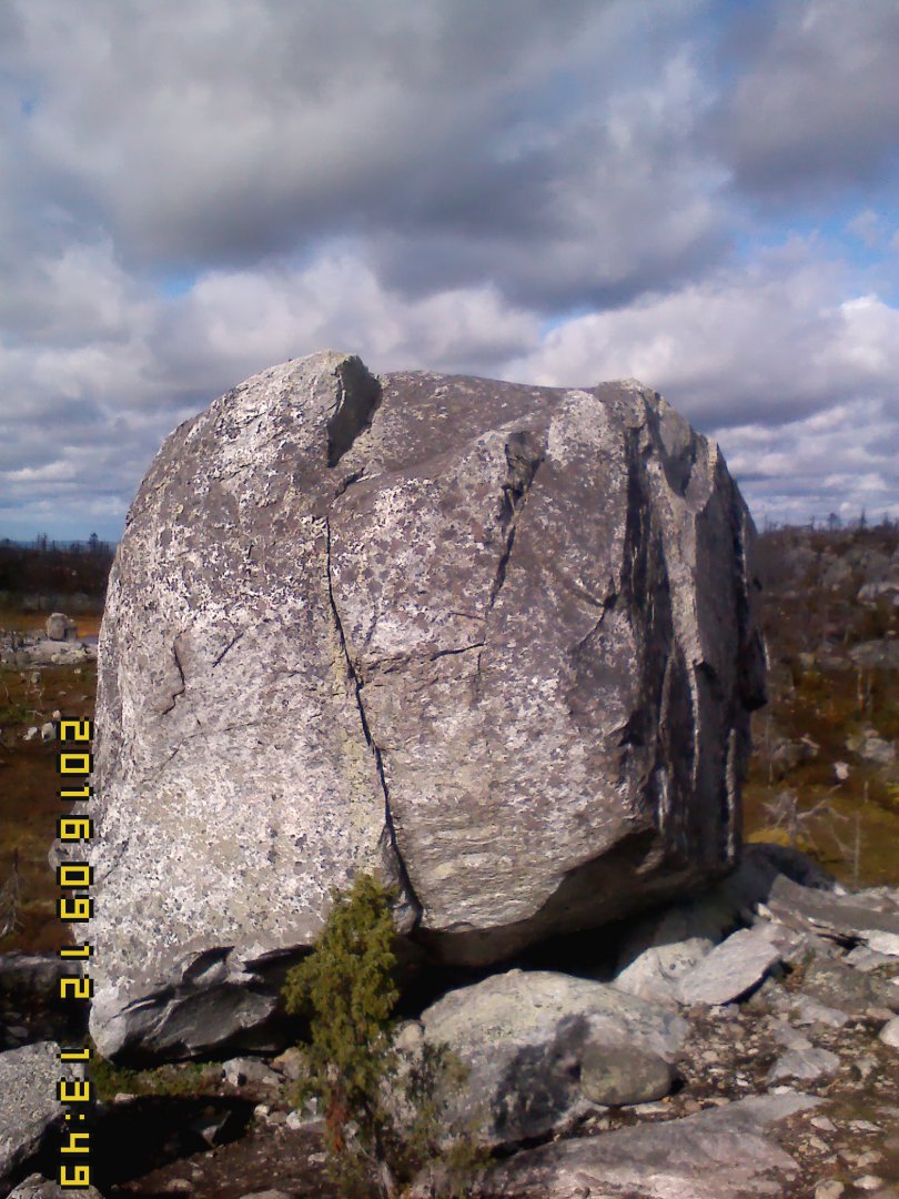 IMG00143.jpg
