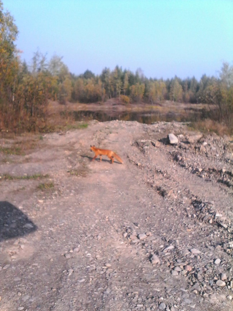 IMG00155.jpg