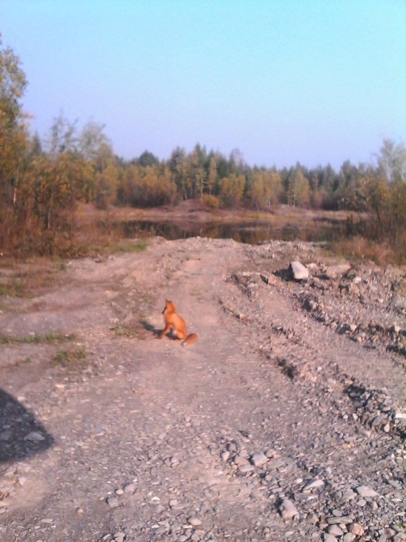 IMG00157.jpg