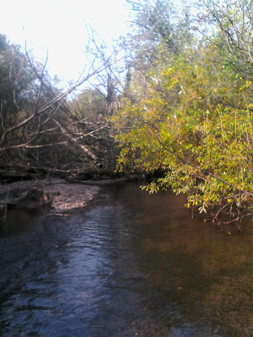 IMG00159.jpg