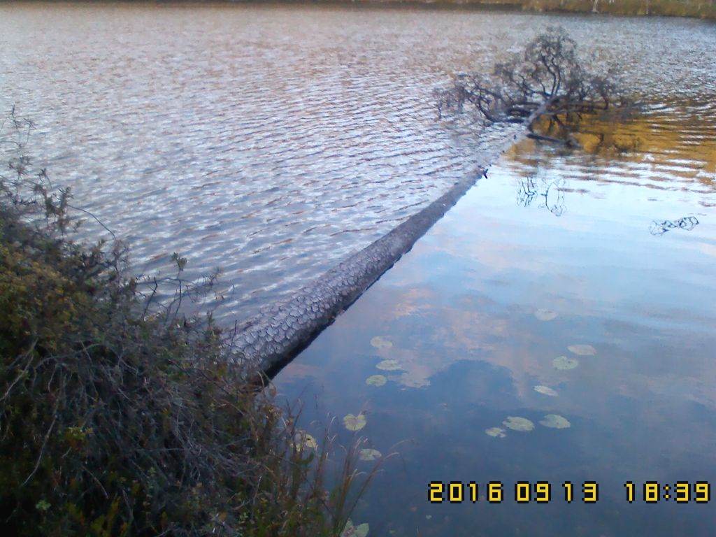 IMG00176.jpg