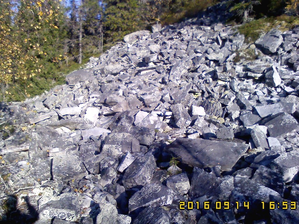 IMG00212.jpg