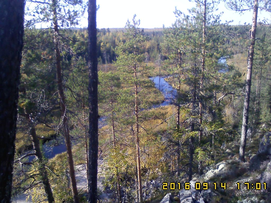 IMG00215.jpg