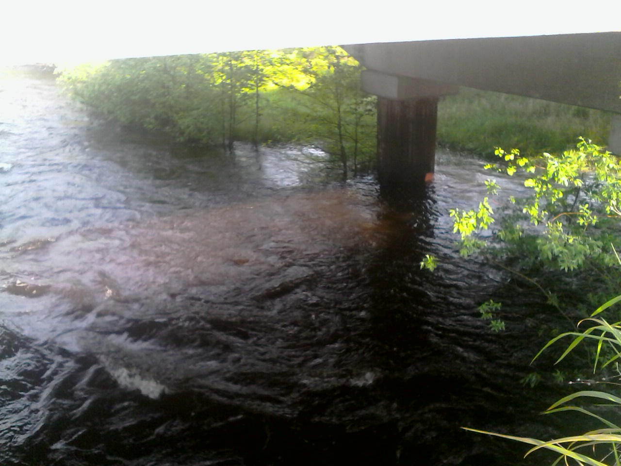 IMG00223.jpg