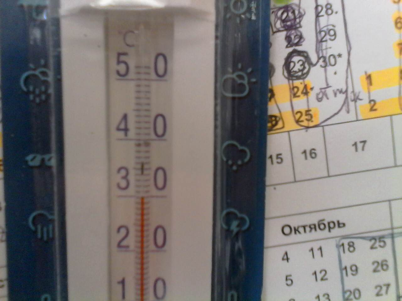 IMG00228.jpg