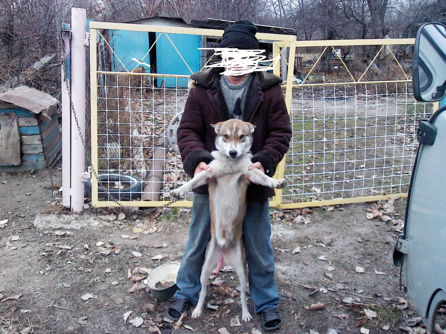 IMG00272.jpg