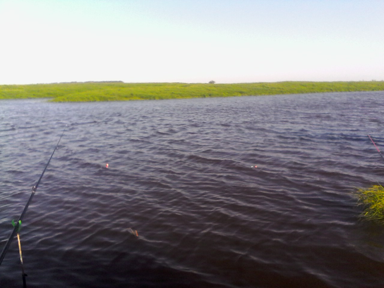 IMG00298.jpg