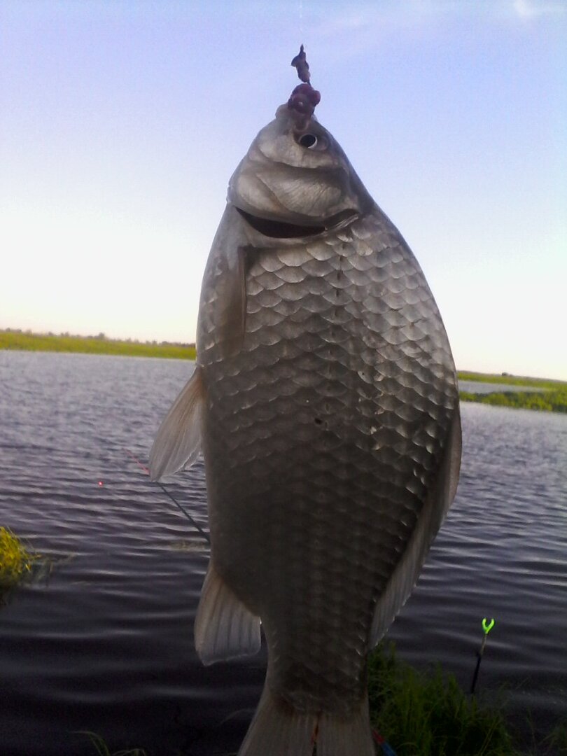 IMG00300.jpg