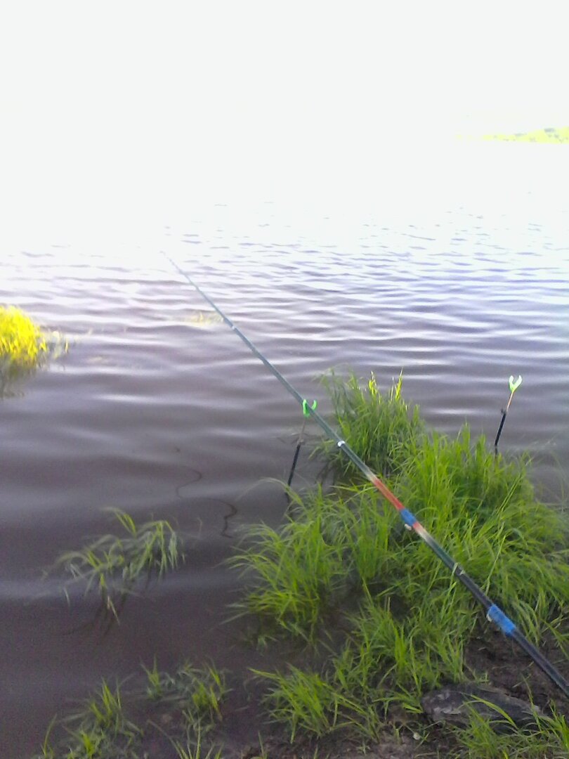 IMG00301.jpg