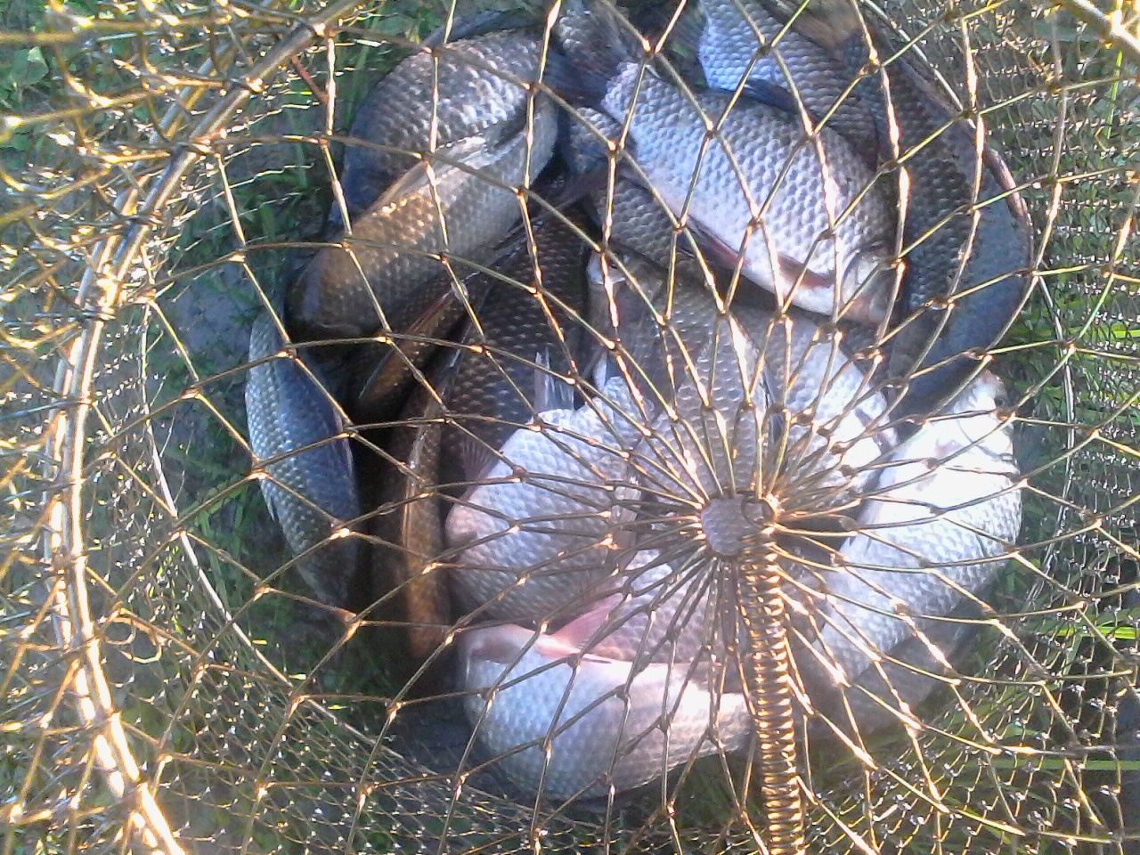 IMG00304.jpg