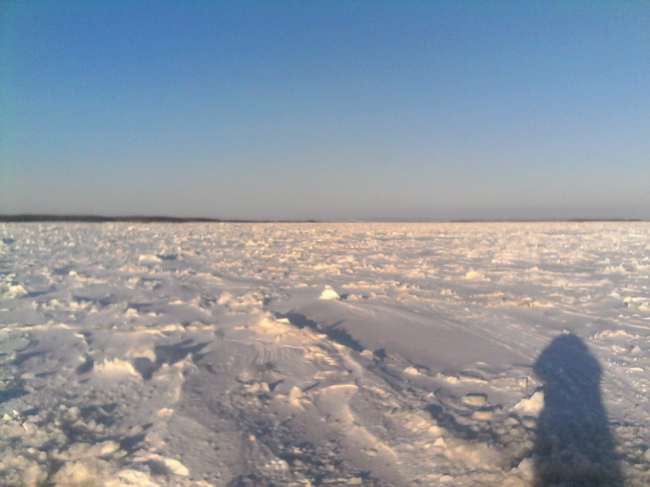 IMG00355.jpg