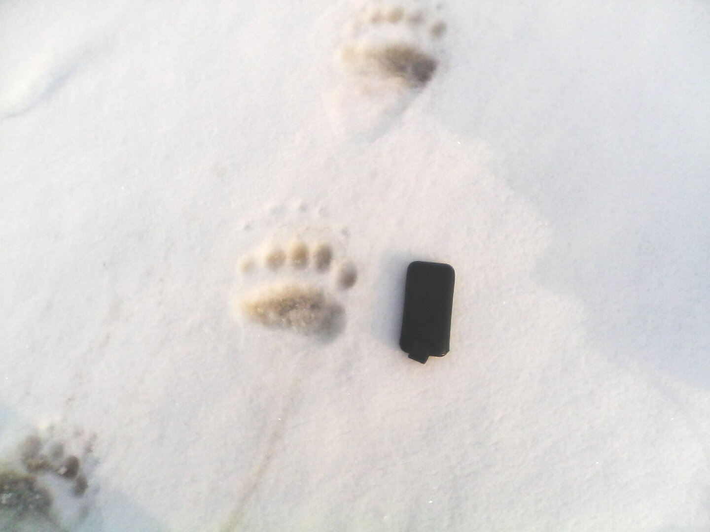 IMG0042A.jpg
