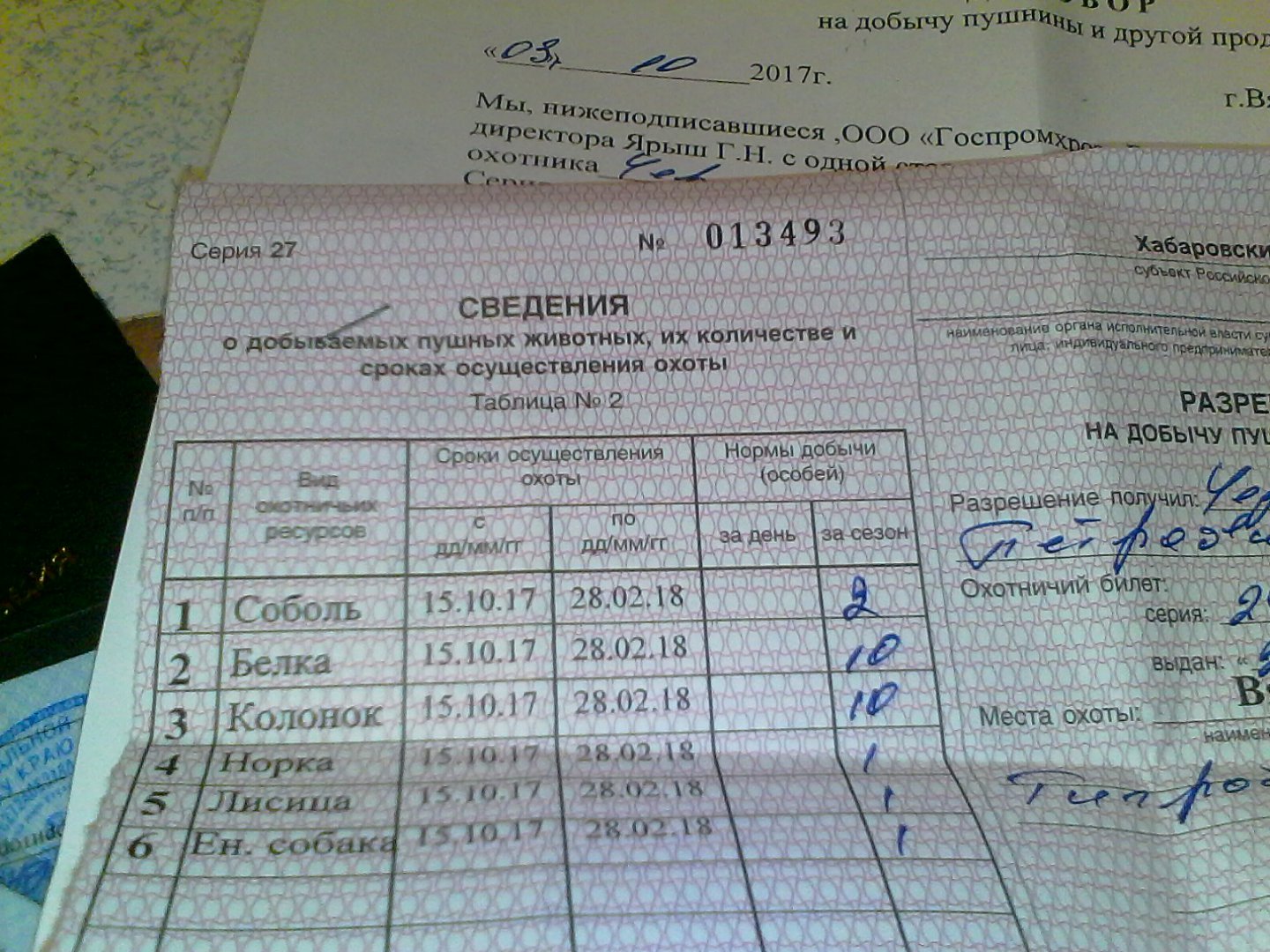 IMG00697 - копия.jpg