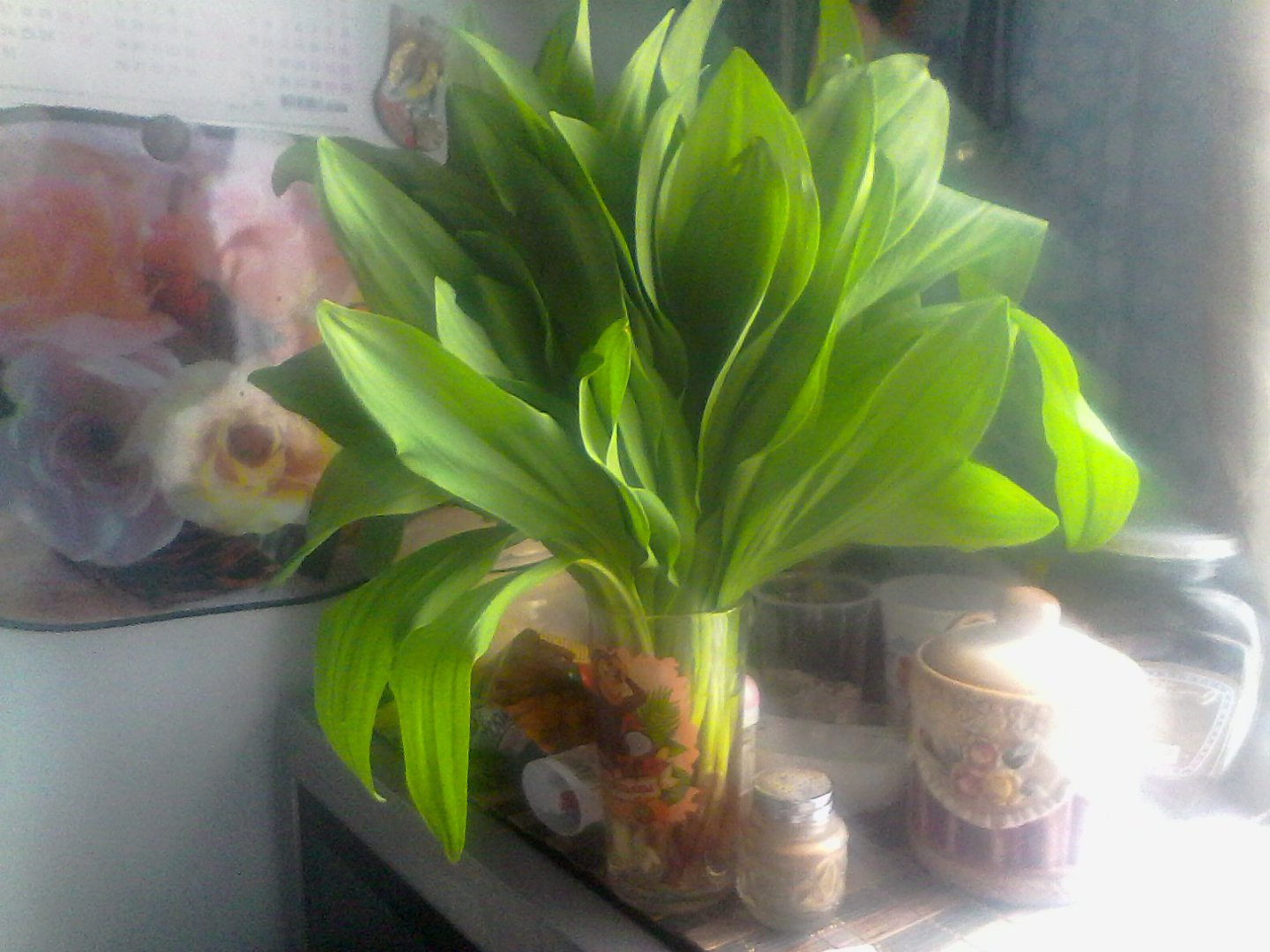 IMG00903.jpg
