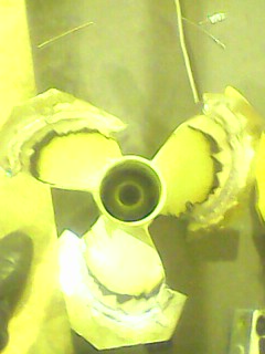 IMG0129A.jpg