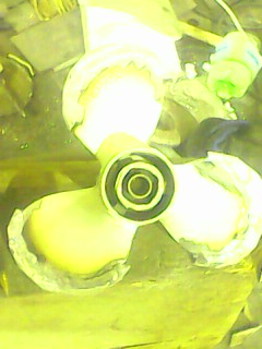 IMG0131A.jpg
