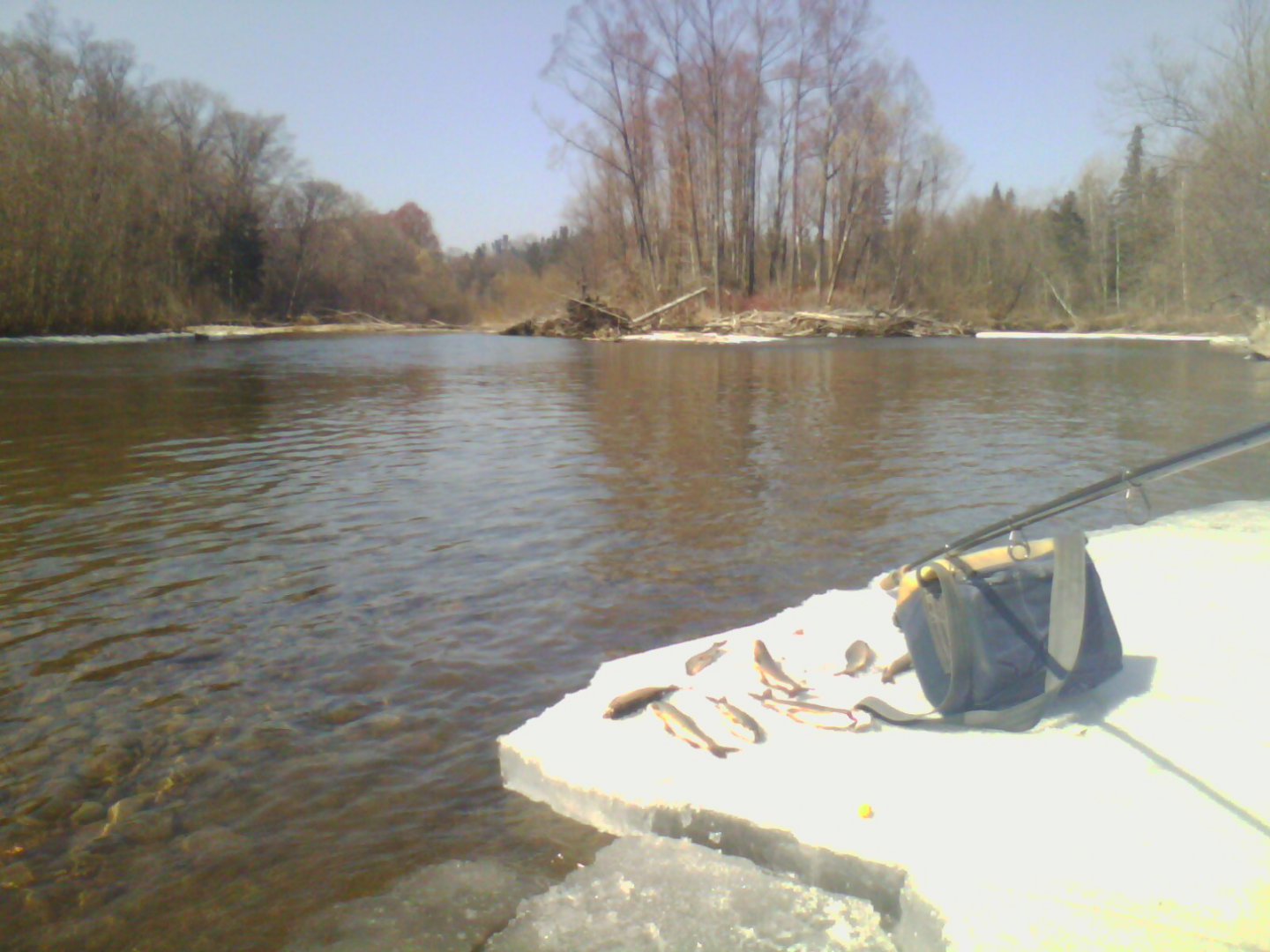 IMG0519A.jpg