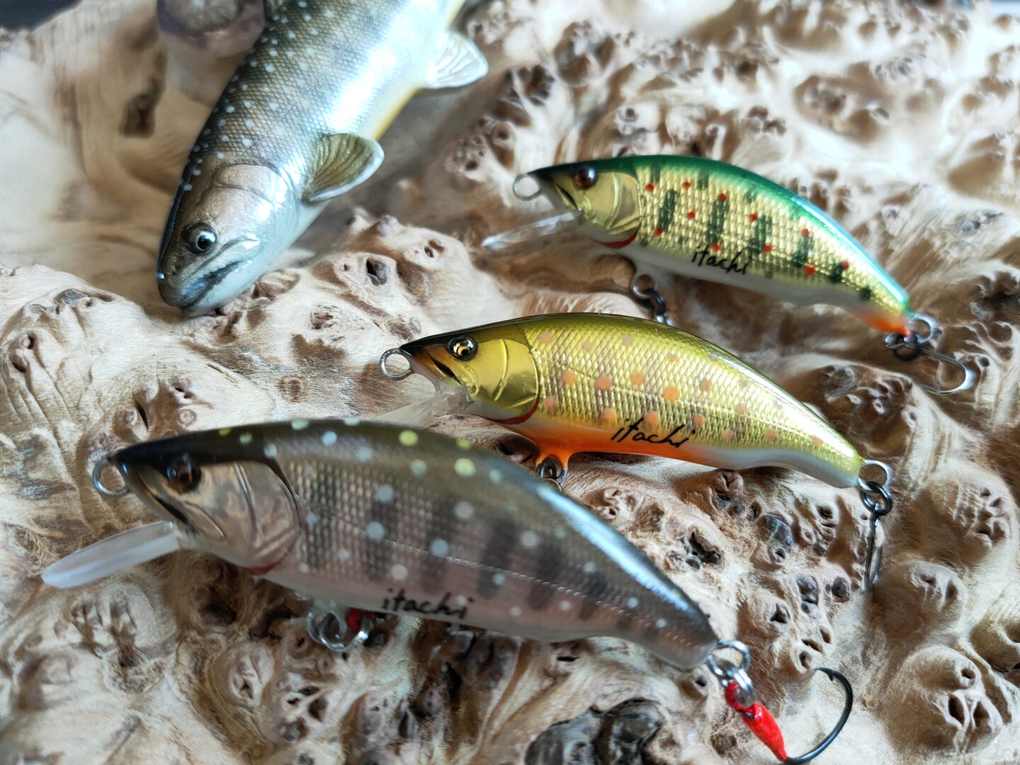 IMG20210915102651.jpg