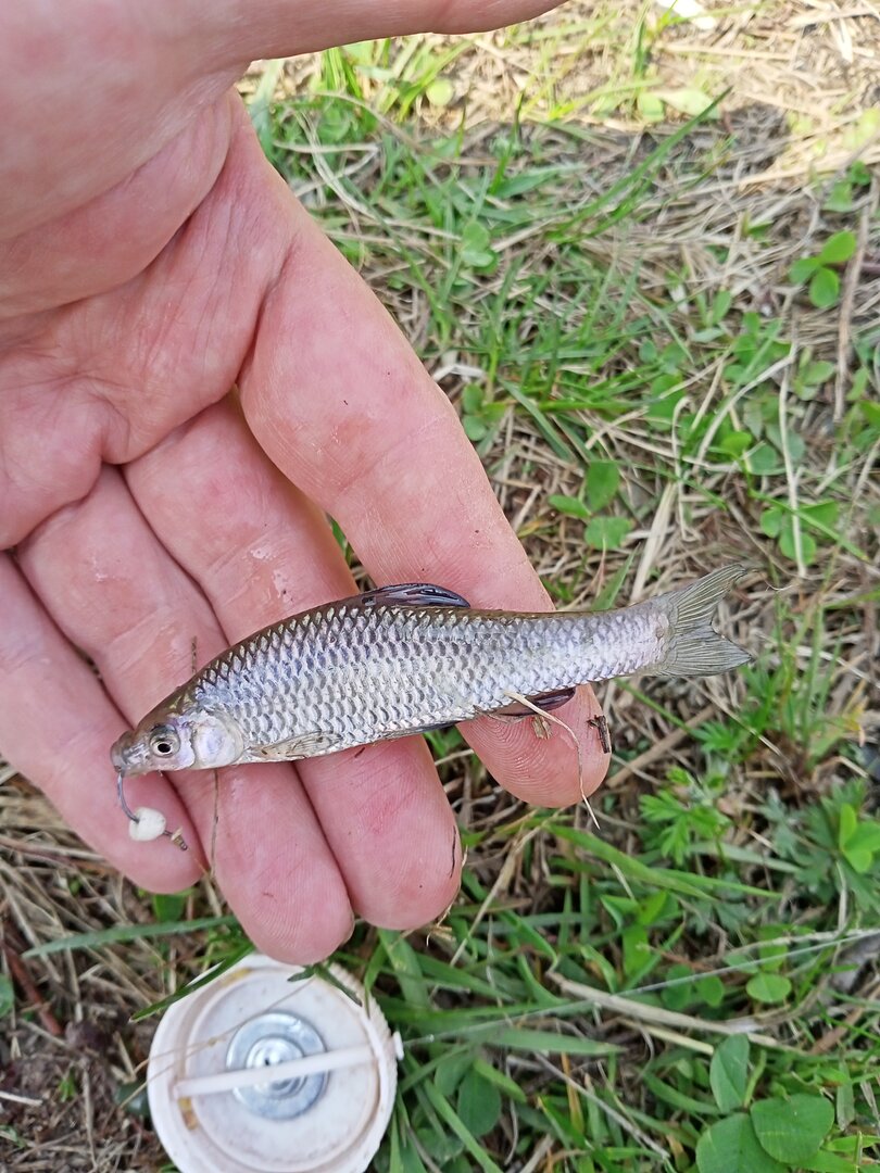 IMG20230514141408.jpg