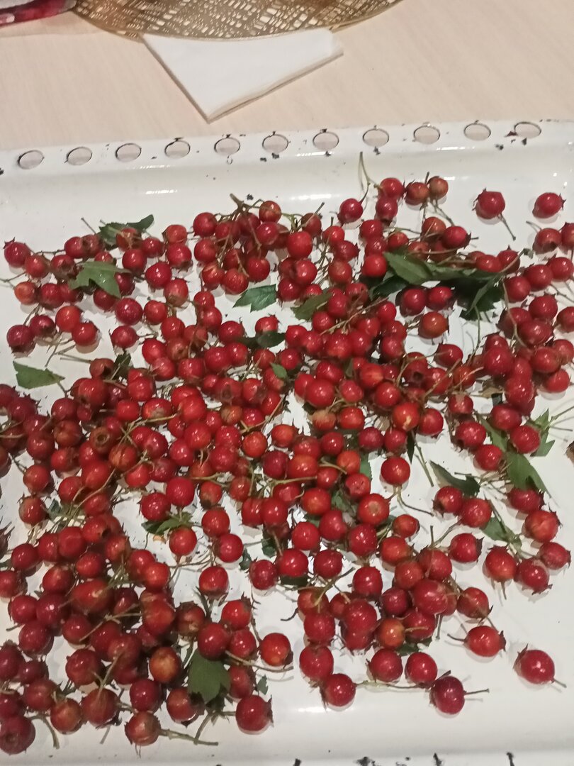 IMG20230906201507.jpg
