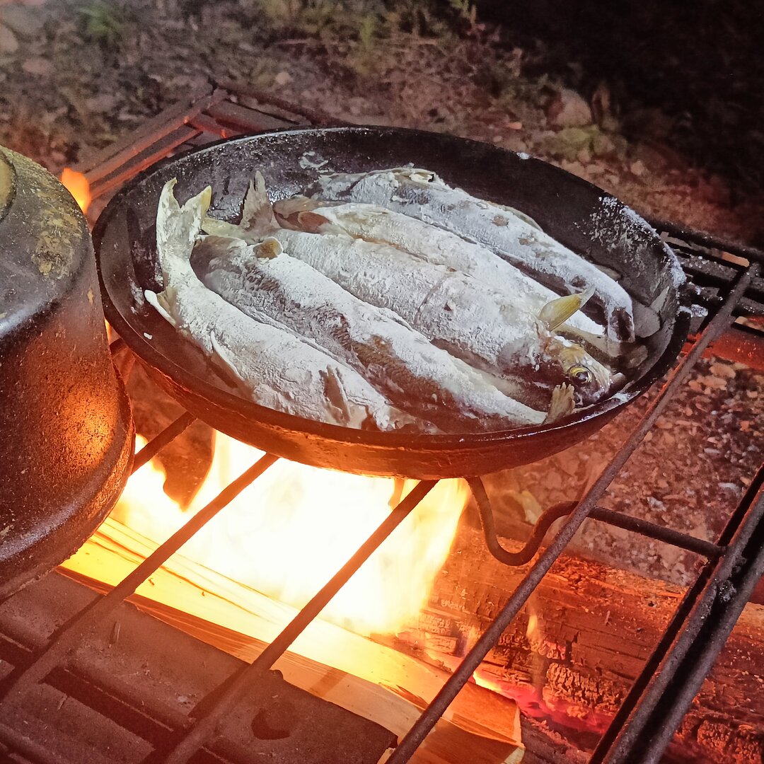 IMG20230908201157.jpg