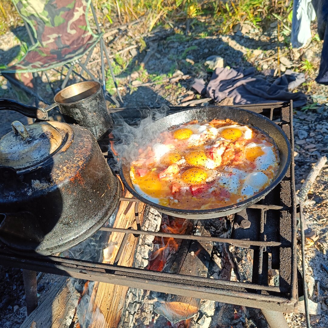 IMG20230909074436.jpg