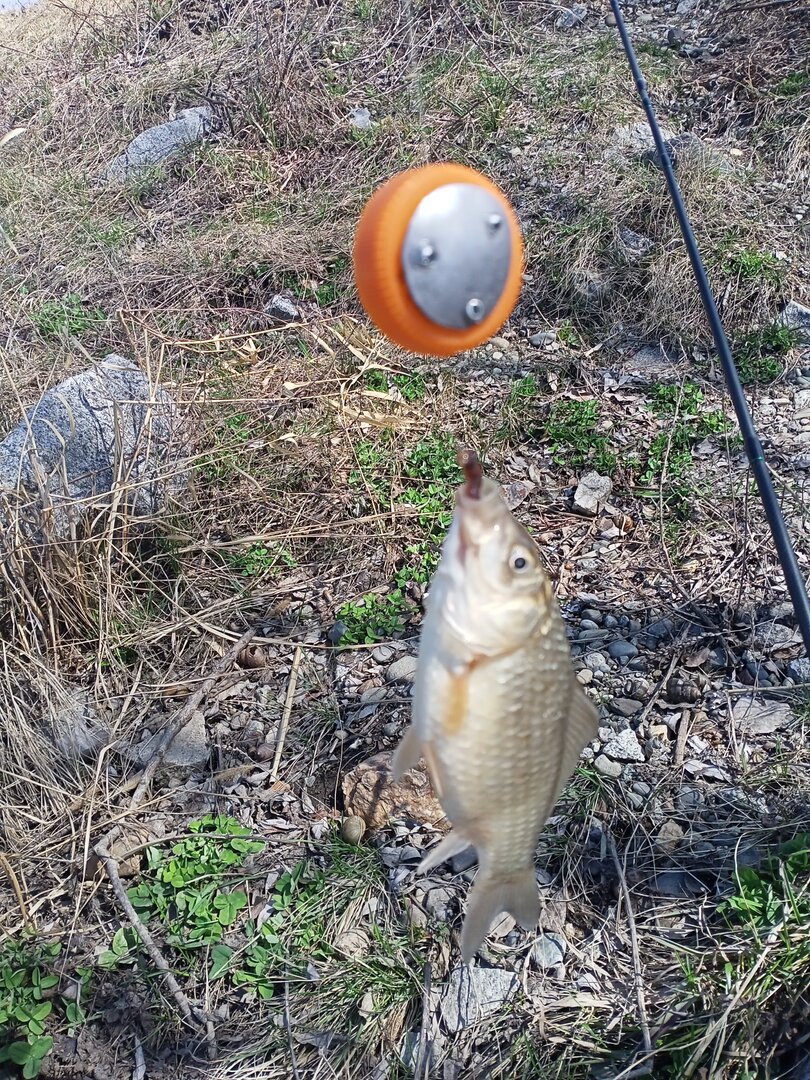 IMG20240421115415.jpg