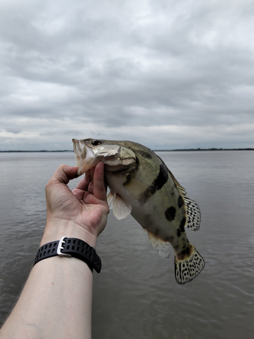 IMG20250621092258.jpg