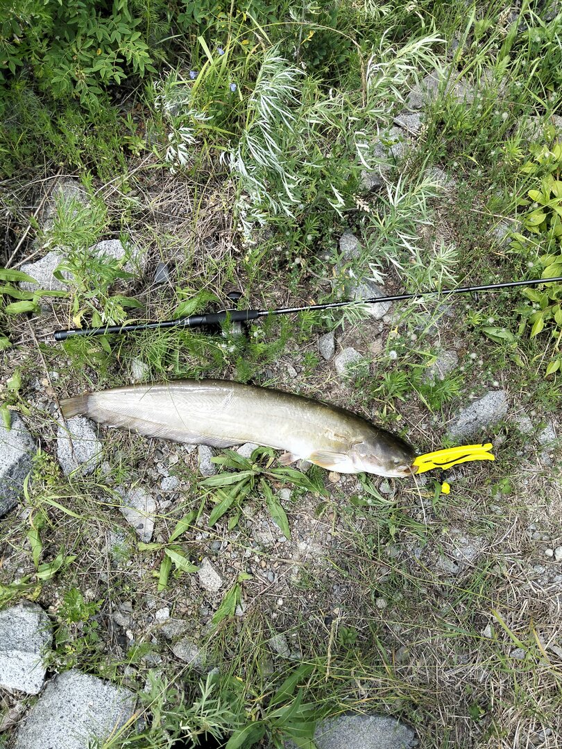 IMG20250630133834.jpg