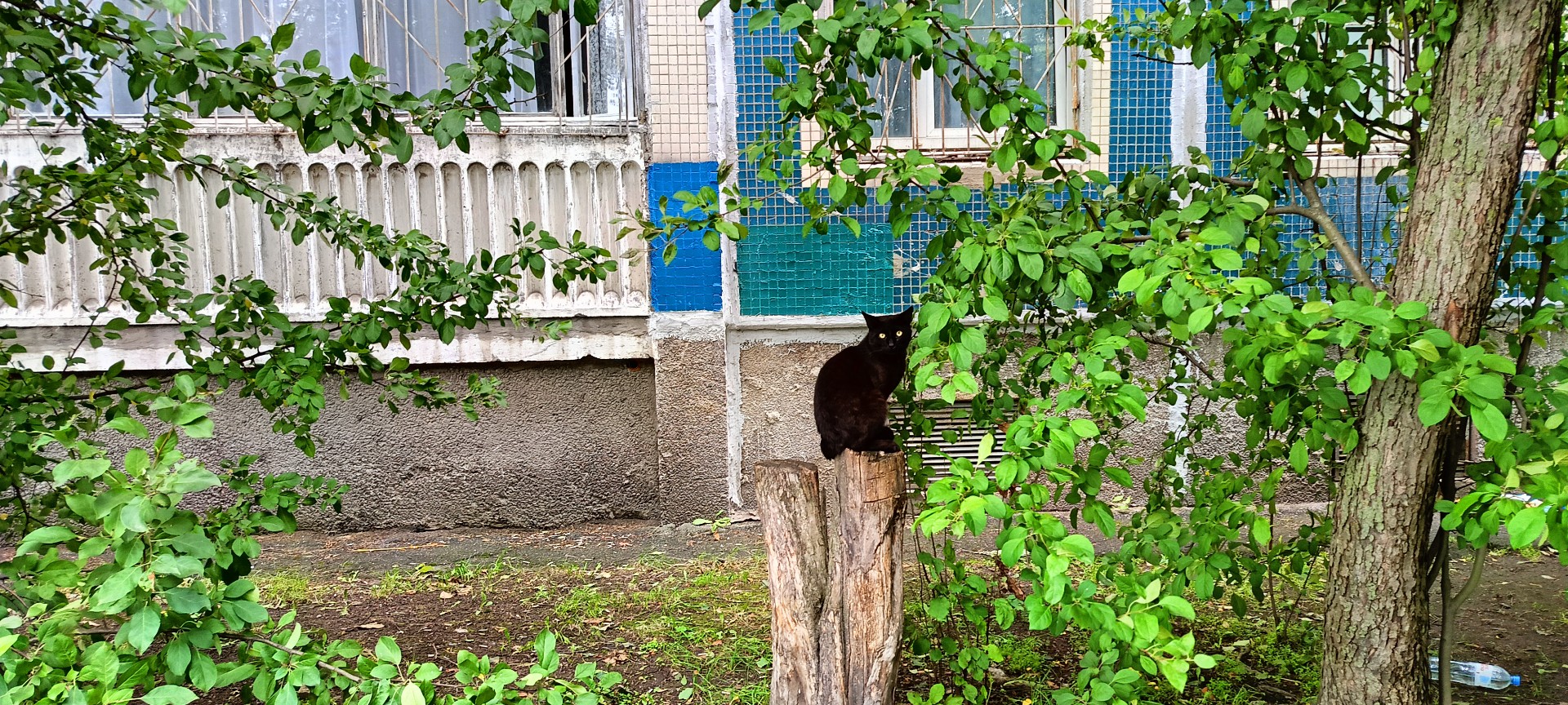 IMG20250708180158.jpg