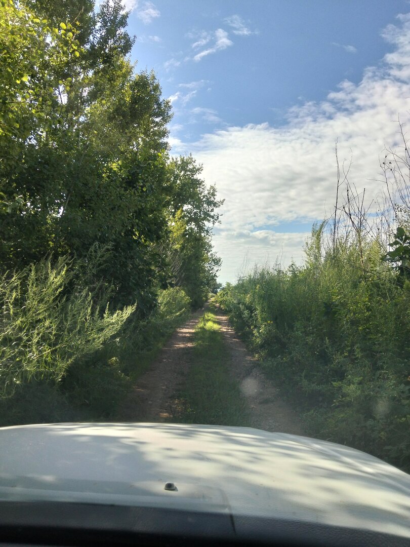 IMG20250809093744.jpg