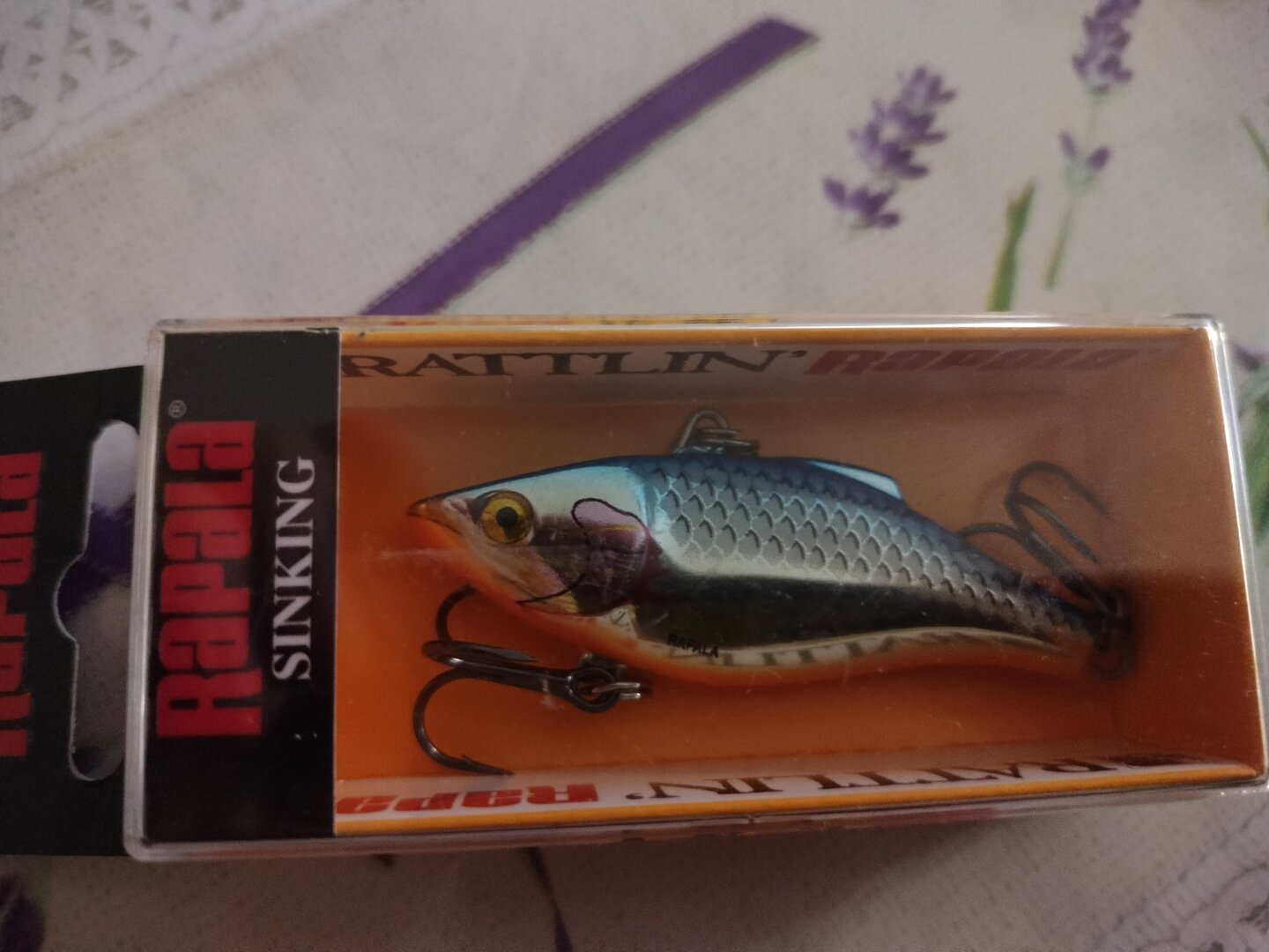 IMG20250909201339.jpg