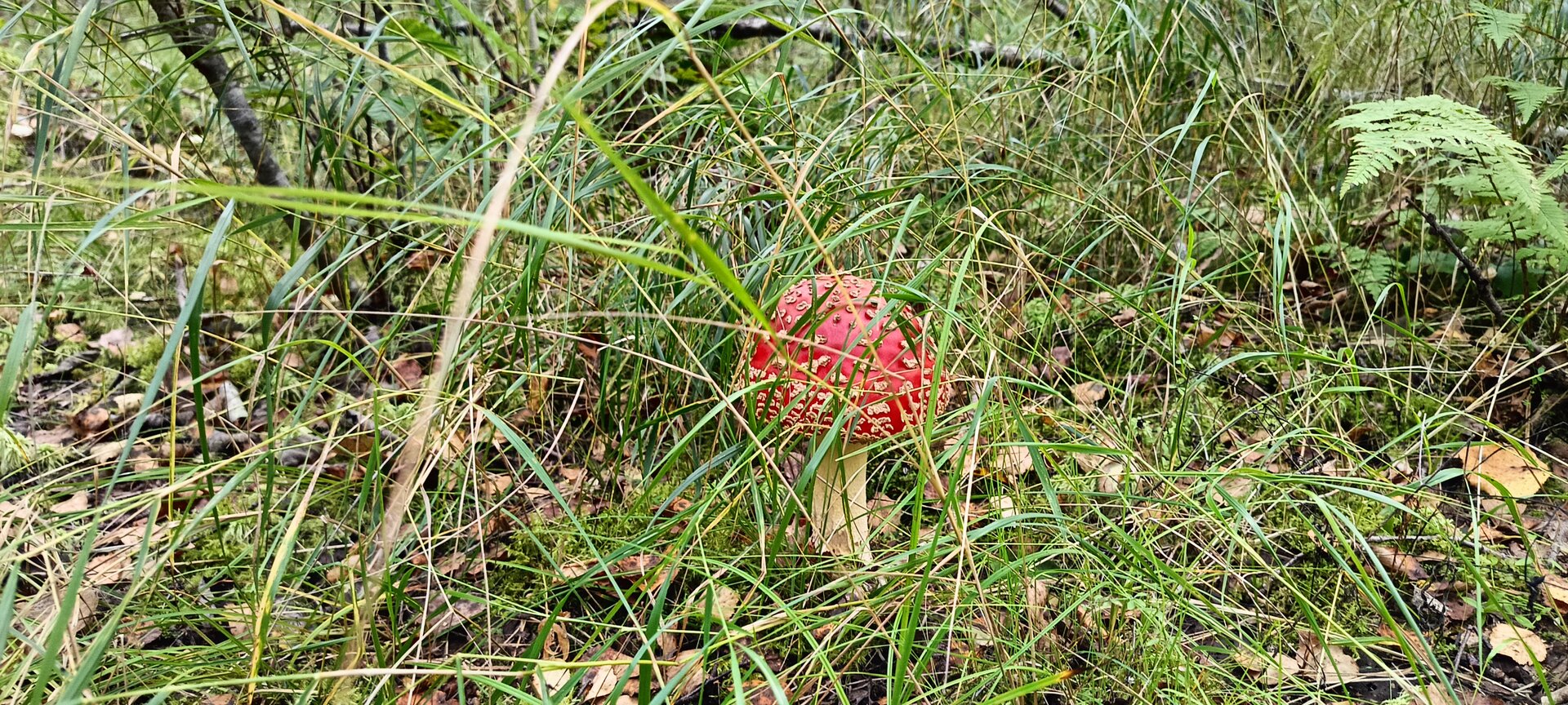 IMG20250914090341.jpg