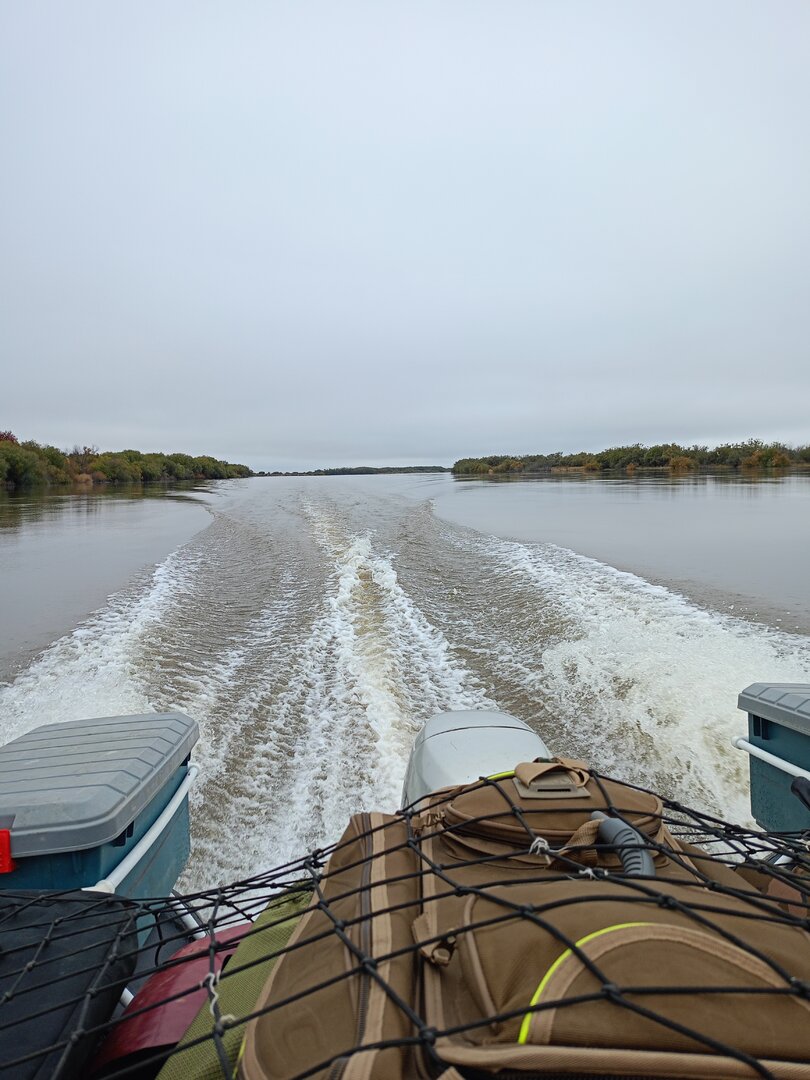 IMG20250926101637.jpg