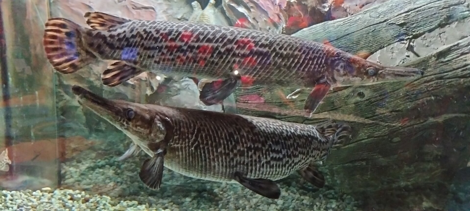 IMG20260612155505.jpg