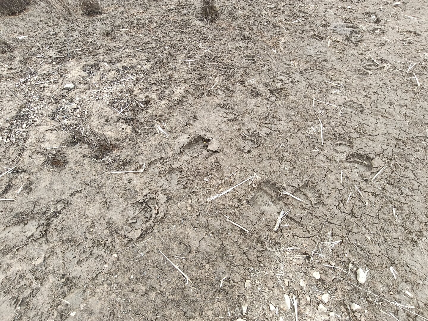 IMG20261018110744.jpg