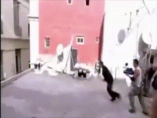 IMG_0035.GIF