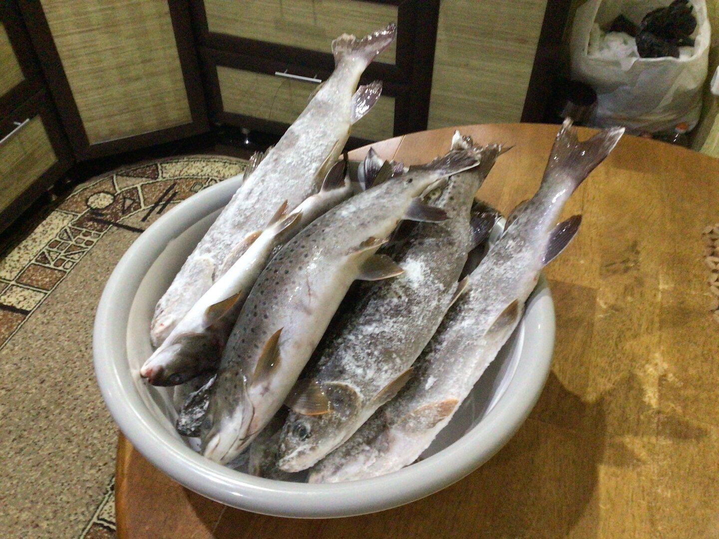 IMG_0117.jpeg