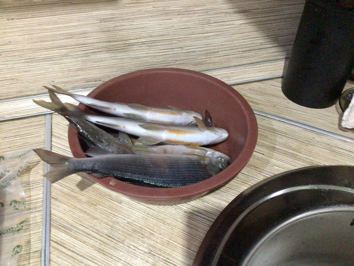 IMG_0119.jpeg